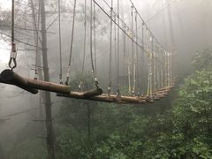 -梦幻奥陶纪景区