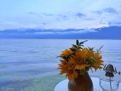 -六阅·福十 FORTEN 海景咖啡西餐厅(双廊古镇店)