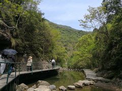 -宁波五龙潭景区