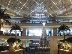 -上海大酒店(南京东路店)