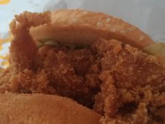 -华莱士·全鸡汉堡(财经学院店)