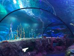 -沈阳海洋探索中心