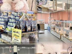-翊宠yipet猫狗购宠庄园犬舍•猫舍