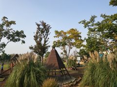 -田园东方蜜桃村的田野营地