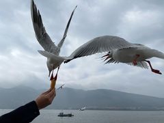 -海埂大坝