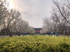 -南京奥林匹克体育中心-体育馆