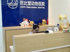 -芭比堂动物医院广州顽皮分院