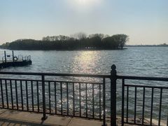 -溱湖国家湿地公园