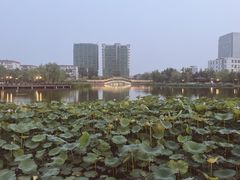 -西海子公园