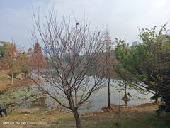 -东岳体育公园