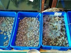 -QQ海鲜餐厅