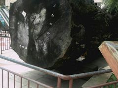 景点-海口骑楼老街历史文化街区