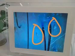 -希梵尔头皮抗衰·科技养发