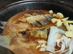 -肥鱼屯活鱼锅(惠工街店)