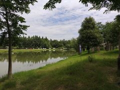 -金谷域澳洲庄园