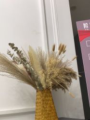 -沐舍·专业男士脱毛SPA沙龙