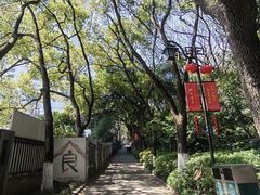 -杭州半山国家森林公园