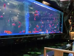 -阳光院坝小龙虾(红牌楼店)