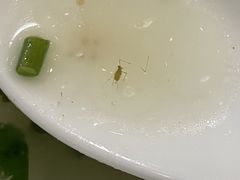 -正能量脆肉鲩火锅