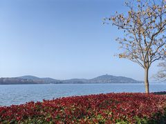 -水上明月·湖景餐厅