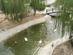 -太原动物园