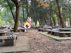 -南宁良凤江国家森林公园