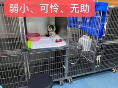 -泰洋动物医院·神经专科·磁共振·CT(天河公园总院)