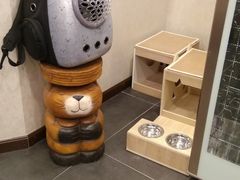 -宠爱国际动物医院·消化内科·心肾内科·ISFM猫友好(望京店)