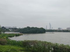 -海珠湖公园