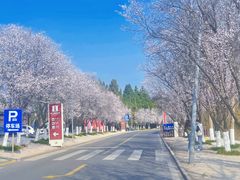 -仙海旅游度假区