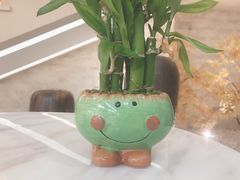 -汤里来温泉