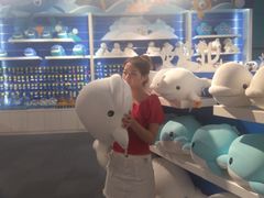 -成都浩海立方海洋公园