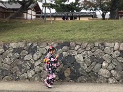 其他和服女孩子-有栖山 清光院 清水寺