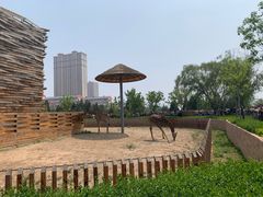 -太原动物园