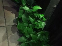 -观唐足道SPA养生会馆(南湖店)