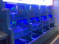-七欣天香辣蟹火锅(上海银亿滨江店)