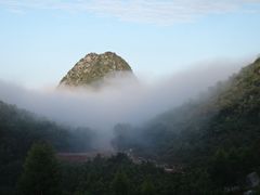 -毛大姐漓江特色啤酒鱼