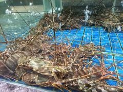 -海鲜潮·株洲海鲜集市(栗雨店)