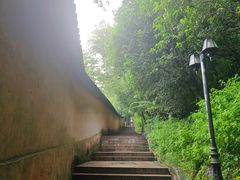 -狼山风景名胜区