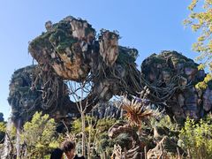 -奥兰多迪士尼动物王国乐园