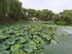 -芙蓉花月子会所(朝阳区店)