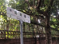 -青青世界