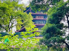 -青城山