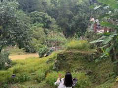 -初溪土楼群