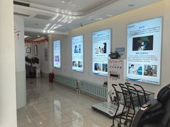 -北京观赏动物医院·24小时大型综合·猫专科·异宠专科