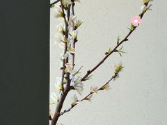 -BOCATA 西班牙餐厅(三里屯店)