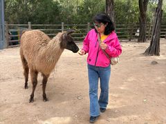 -鄂尔多斯野生动物园