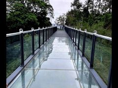 -黄埔油麻山森林公园