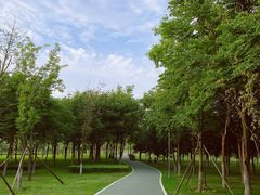 -洨河生态公园