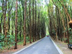 -同里国家湿地公园